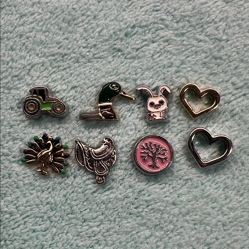 Floating Locket Charms
